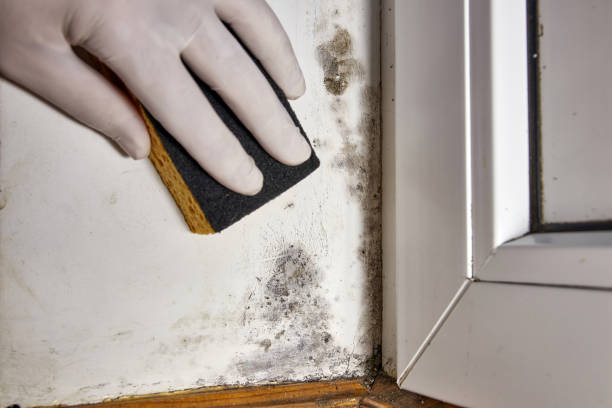 Asbestos and Lead Testing During Mold Inspection in Clarksville, VA